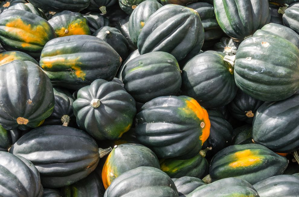 Types Of Summer Squash
 The most mon types of winter squash and how they taste