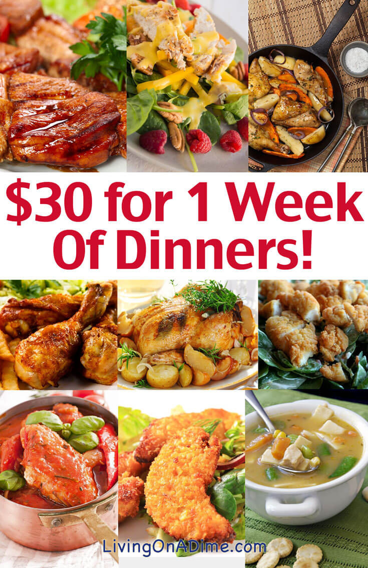 Valentine'S Dinner Ideas For Family
 Cheap Family Dinner Ideas $30 for 1 Week of Dinners