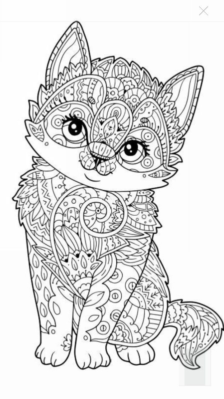 Adult Cat Coloring Pages
 10 Cats Who Made Hilariously Poor Decisions