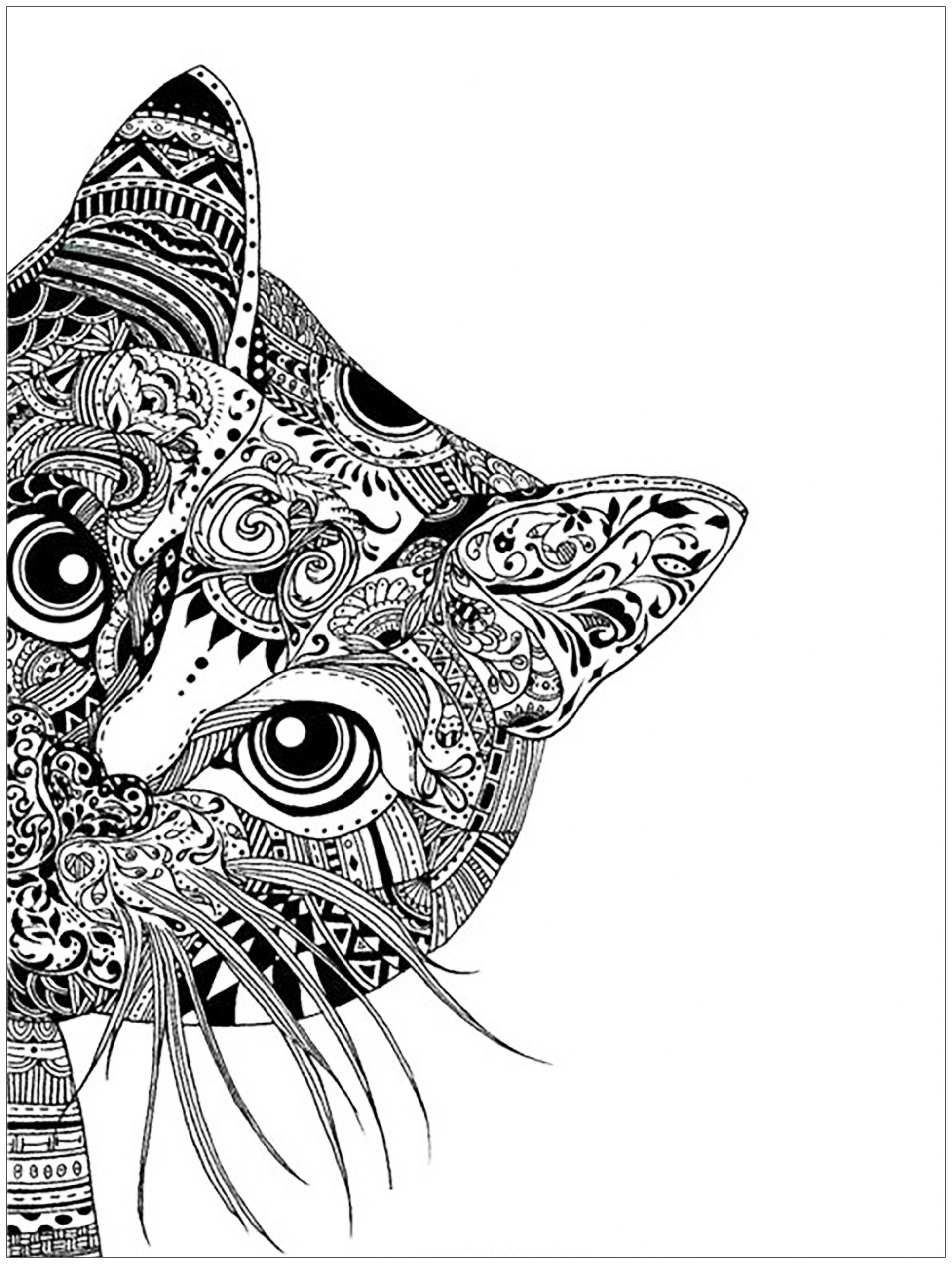 Adult Cat Coloring Pages
 Pages cat head