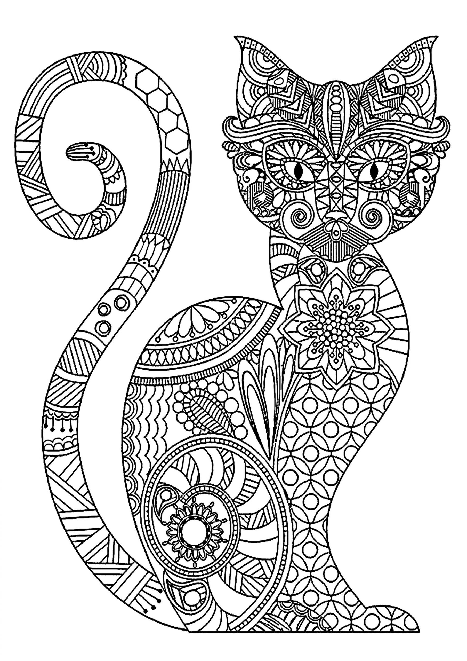 Adult Cat Coloring Pages
 Cat Coloring Pages for Adults Best Coloring Pages For Kids