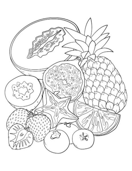 Adult Food Coloring Pages
 Adult High School Middle School MyPlate Coloring Book