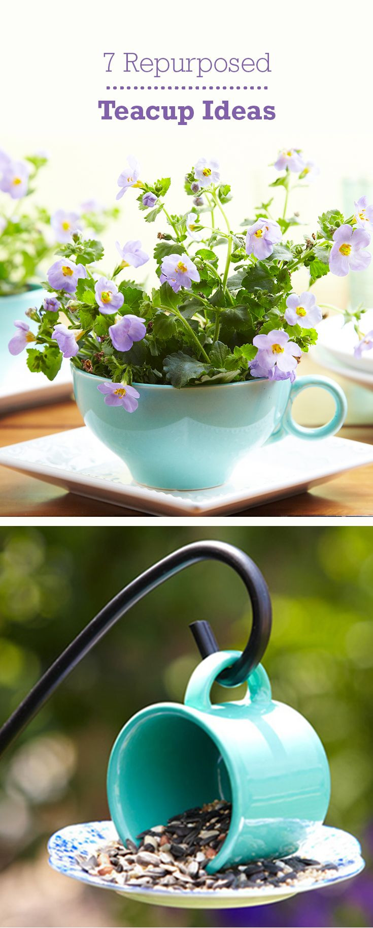 Adult Summer Crafts
 7 Whimsical Ways to Repurpose Teacups