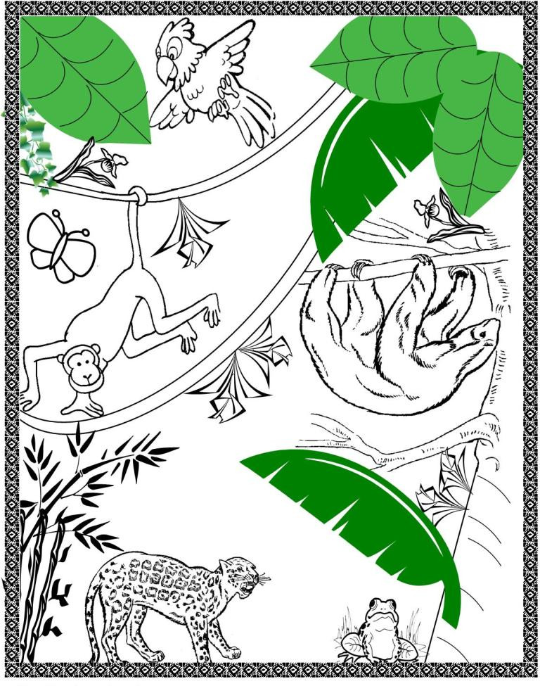 Amazon Coloring Books For Kids
 Rain Forest Trees Coloring Page Coloring Home