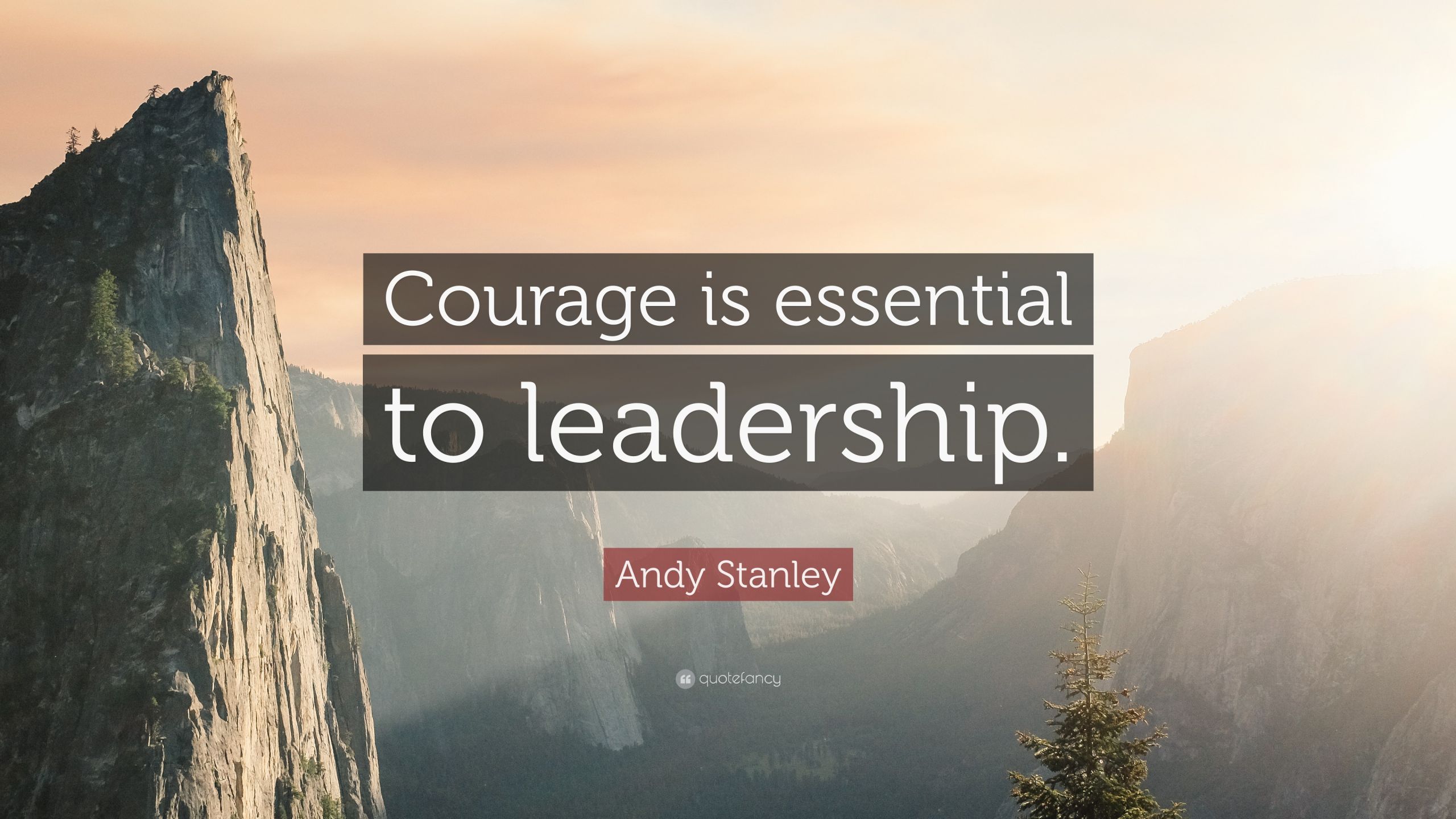 Andy Stanley Leadership Quotes
 Andy Stanley Quote “Courage is essential to leadership
