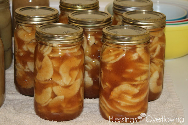 Apple Pie Filling Canning
 Canned Apple Pie Filling Recipe Blessings Overflowing