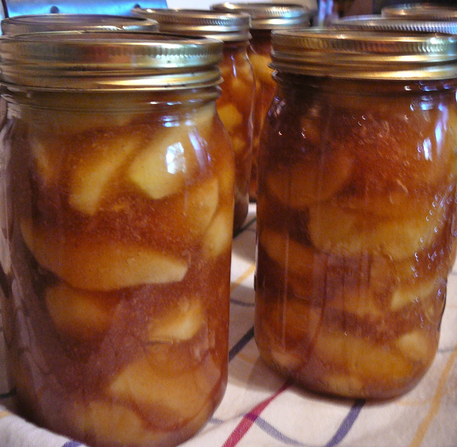 Apple Pie Filling Canning
 The Hidden Pantry Canning Apple Pie Filling my revision