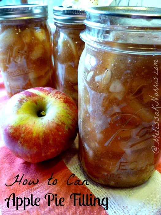 Apple Pie Filling Canning
 How To Can Apple Pie Filling