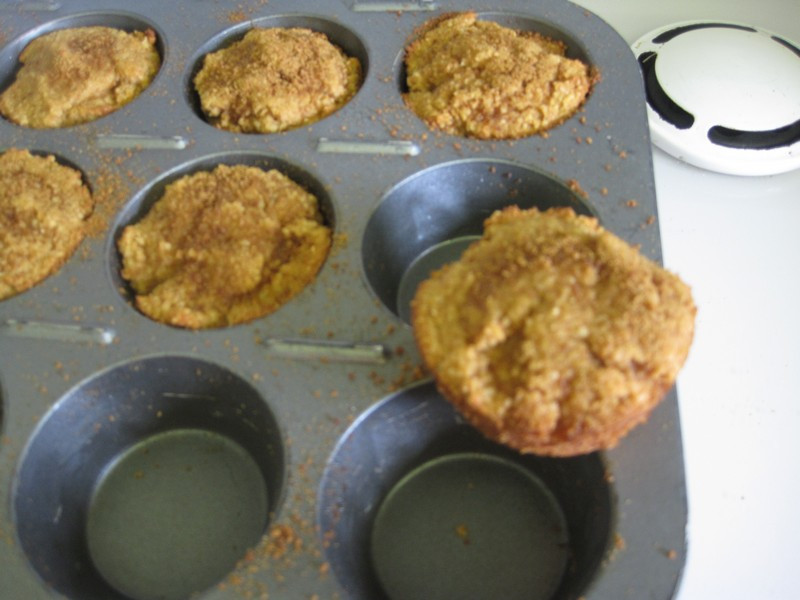 Applesauce Muffins Paleo
 My First Original Paleo Recipe – Applesauce Muffins