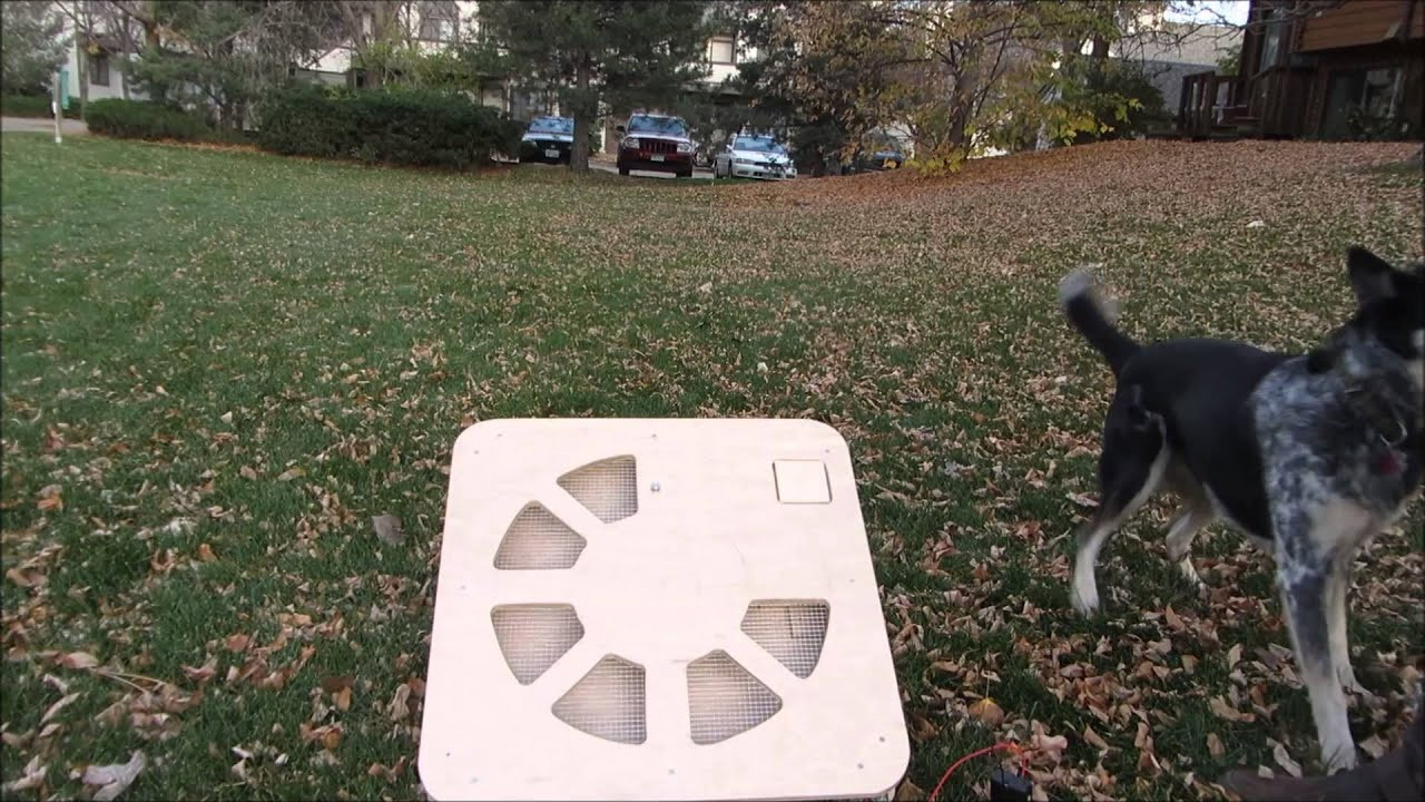 Automatic Dog Ball Launcher DIY
 Automatic Dog Ball Launcher