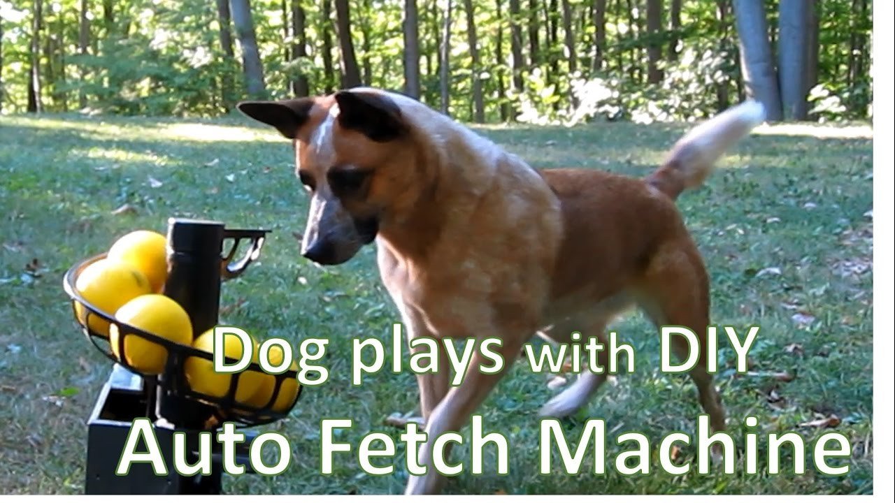 Automatic Dog Ball Launcher DIY
 diy remote controlled automatic ball launcher for dogs