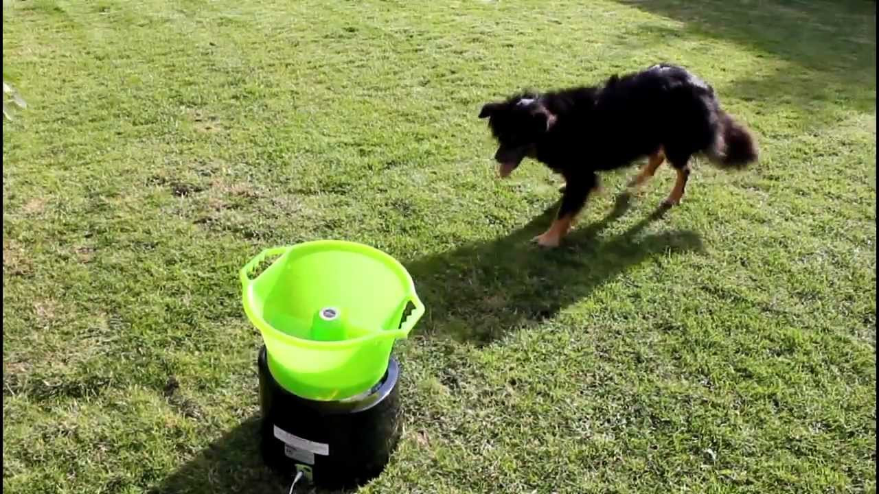 Automatic Dog Ball Launcher DIY
 Diy Dog Toy Launcher