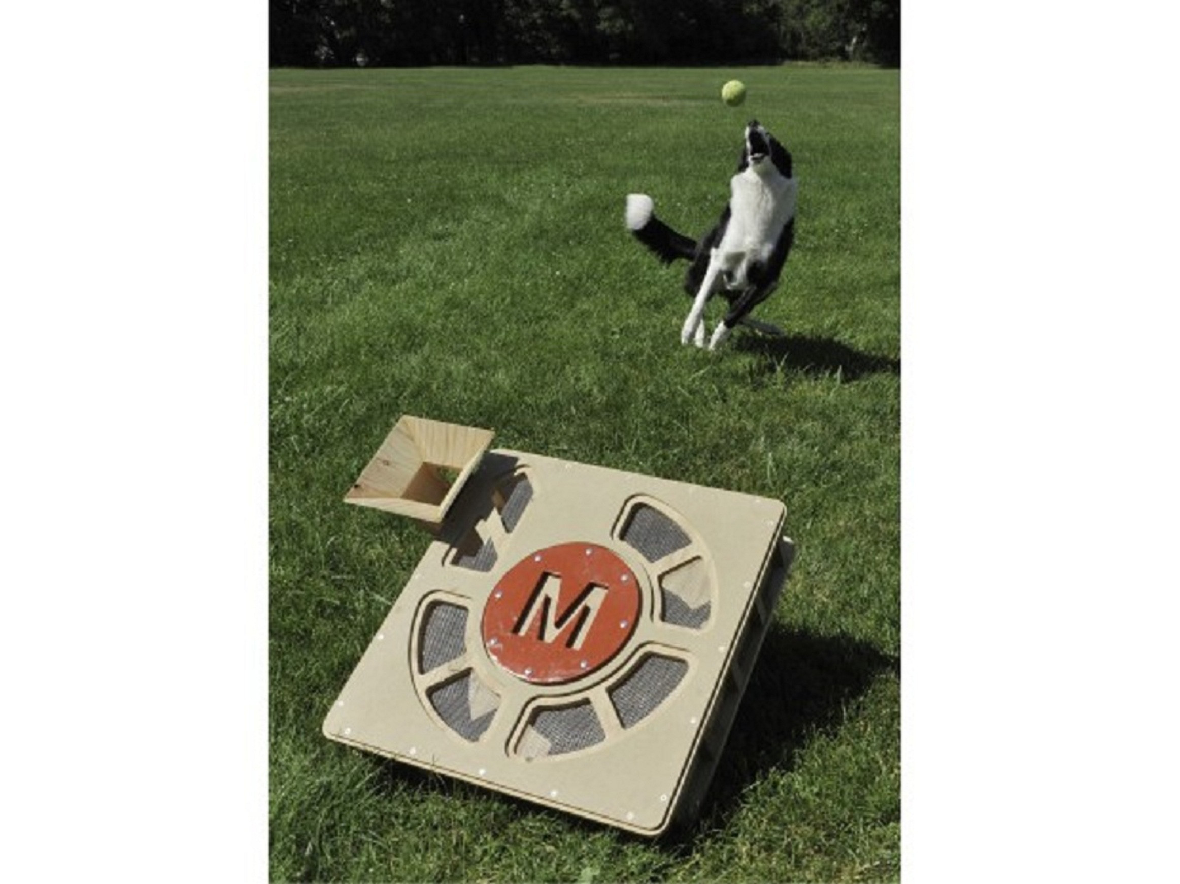 Automatic Dog Ball Launcher DIY
 10 Perfect DIY Projects for Makers Who Love Their Pets