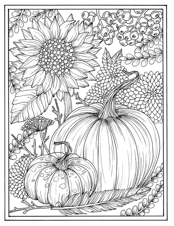 Autumn Coloring Pages For Adults
 Fall flowers and pumpkins digital coloring page Thanksgiving