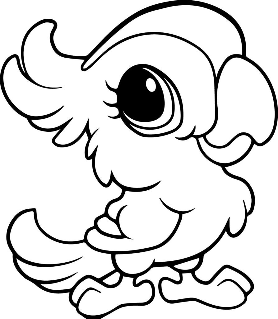 Baby Animal Coloring Pictures
 Coloring Pages Cute Animals Coloring Pages
