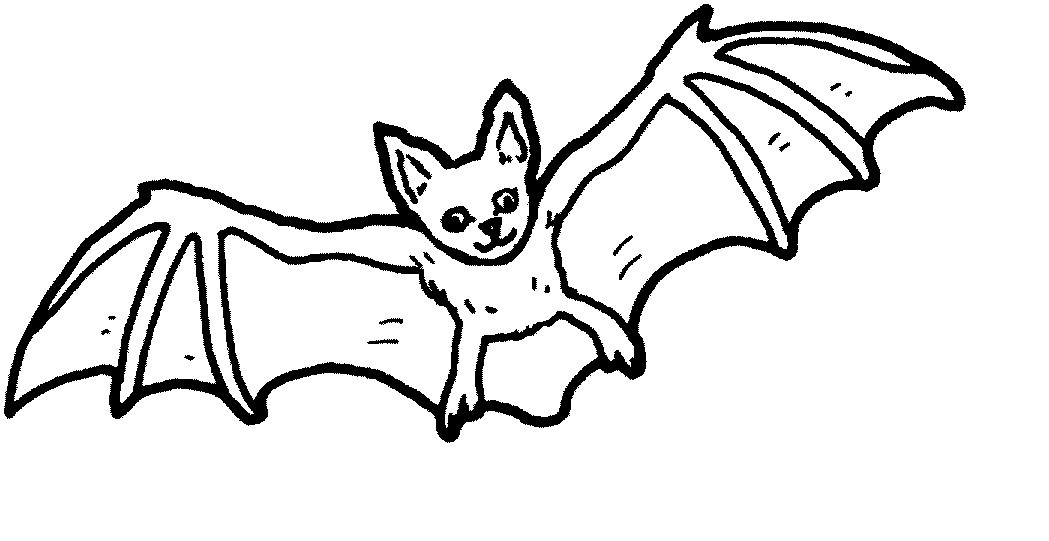 Baby Bat Coloring Pages
 Bat Coloring Pages Kidsuki