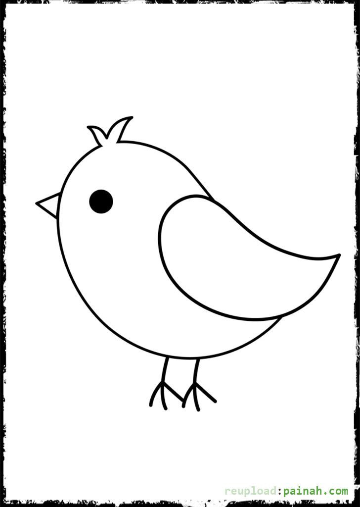 Baby Bird Coloring Pages
 Cute Baby Bird Coloring Pages Coloring Pages
