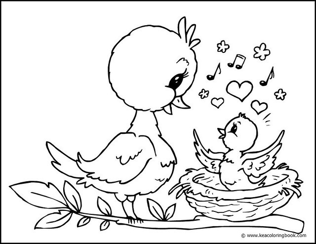Baby Bird Coloring Pages
 Chick and Mother Bird Coloring Page