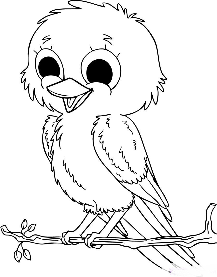 Baby Bird Coloring Pages
 Cute Baby Bird Coloring Pages