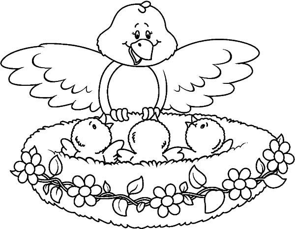 Baby Bird Coloring Pages
 Mother Surprised Her Babies In Bird Nest Coloring Pages