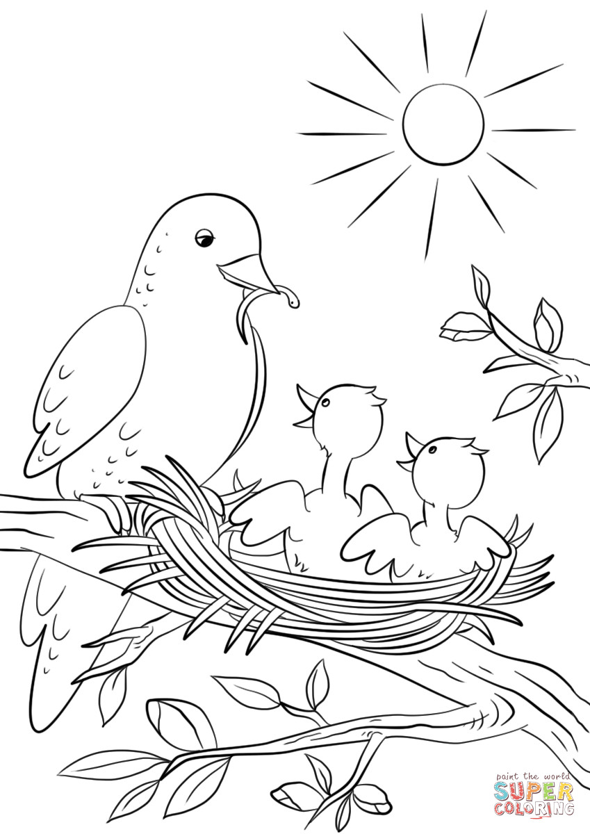 Baby Bird Coloring Pages
 Mother Bird Feeding Chicks coloring page