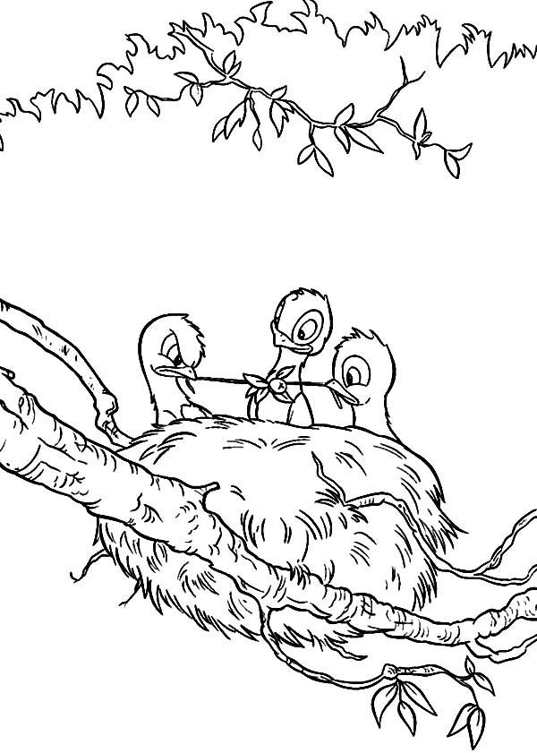 Baby Bird Coloring Pages
 Baby Bird Eating in Their Bird Nest Coloring Pages