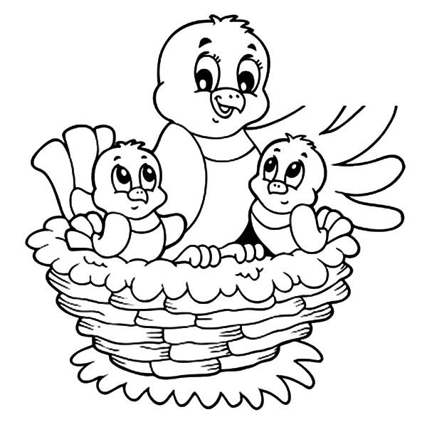 Baby Bird Coloring Pages
 Birds Nest Drawing at GetDrawings