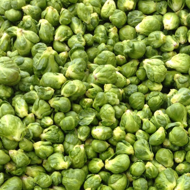 Baby Brussel Sprouts Recipes
 Baby Brussels Sprouts Information Recipes and Facts