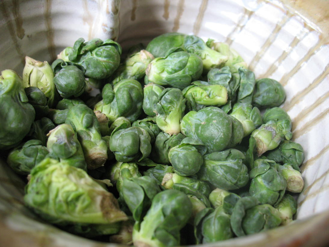 Baby Brussel Sprouts Recipes
 Your baby eats WHAT Roasted Brussels Sprouts recipe for