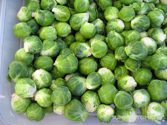Baby Brussel Sprouts Recipes
 chestnuts
