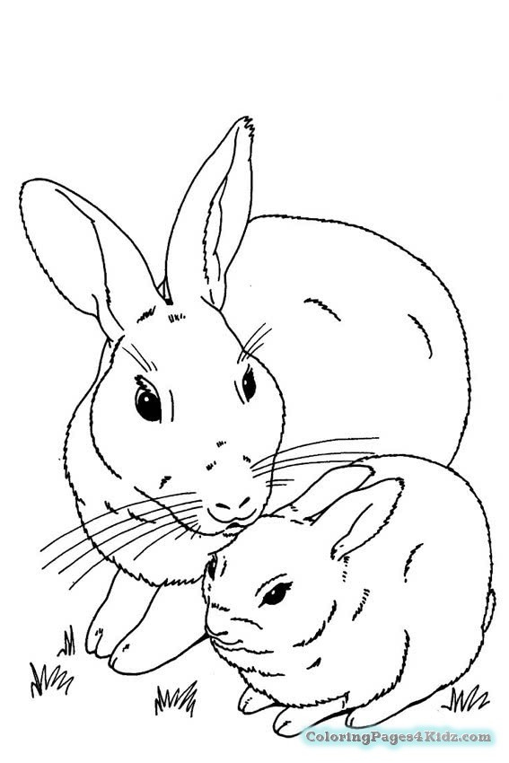 Baby Bunny Coloring Page
 Cute Baby Bunnies Coloring Pages