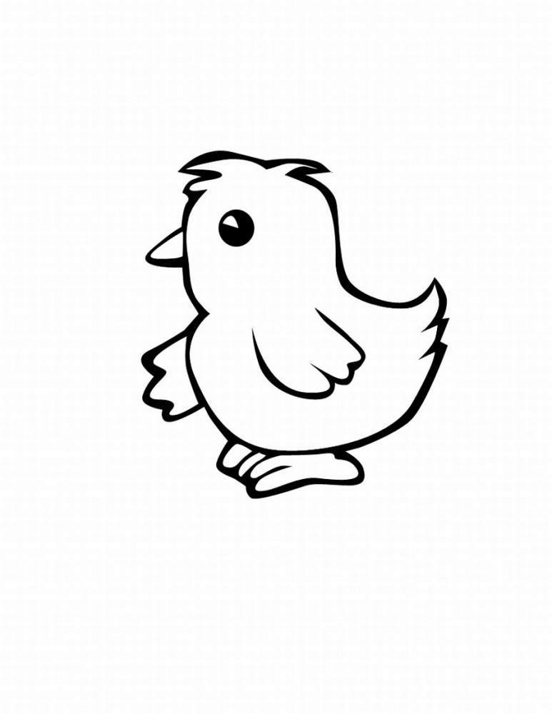 Baby Chicks Coloring Pages
 Chicken Chook Coloring Pages