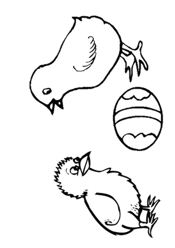 Baby Chicks Coloring Pages
 Baby Chick Clip Art Cliparts