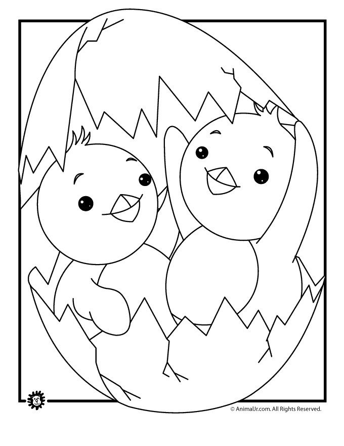 Baby Chicks Coloring Pages
 Baby Chicks Coloring Page