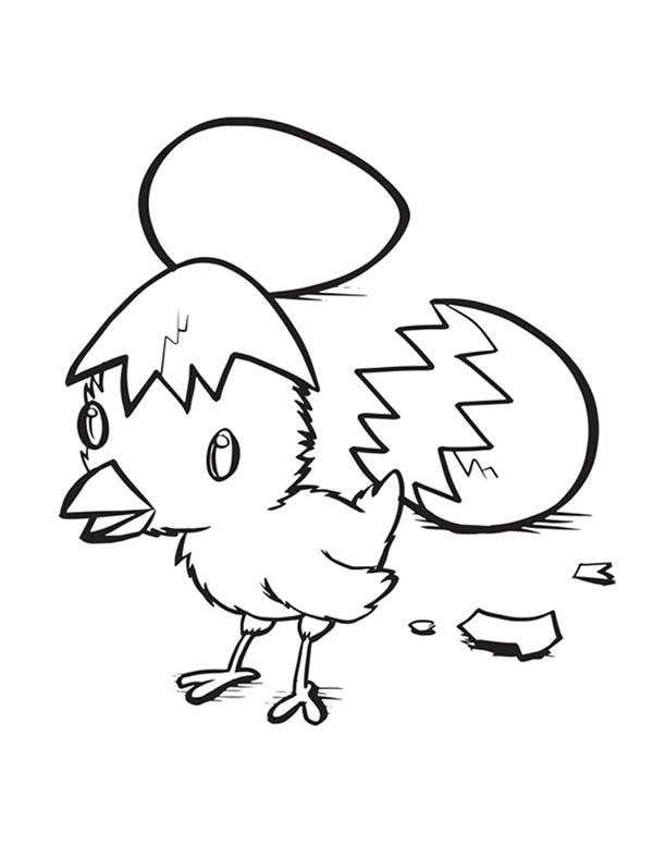 Baby Chicks Coloring Pages
 Hatching Baby Chick Coloring Page Kids Play Color