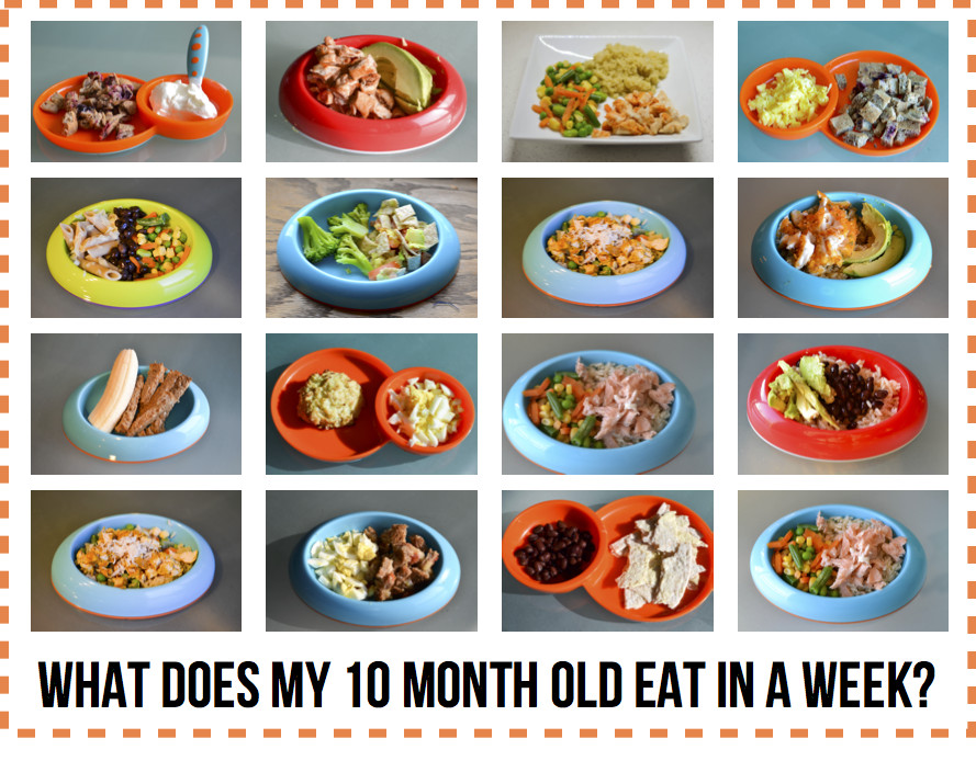 Baby Food Recipes 9 Month Old
 What Does My 10 Month Old Eat in a Week