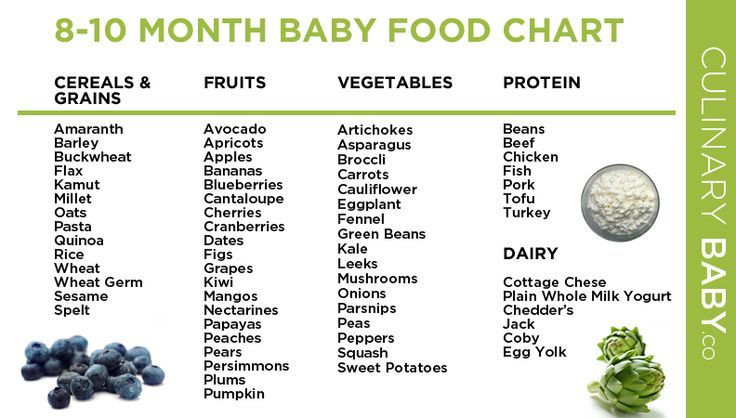 Baby Food Recipes 9 Months Old
 8 to 10 month baby food chart dishes Baby foods