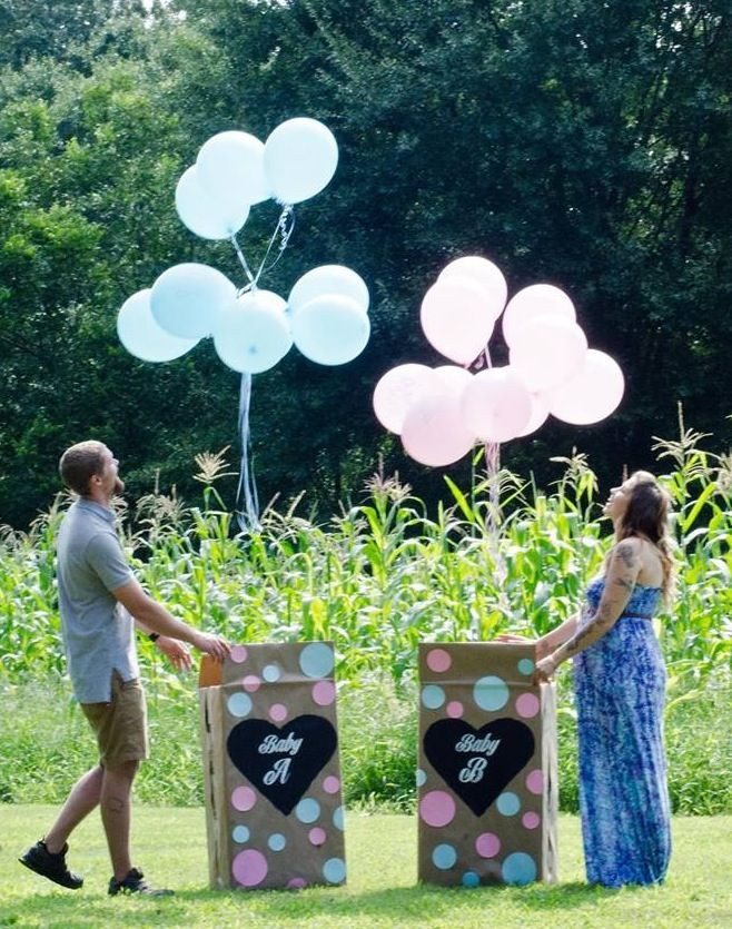 Baby Gender Reveal Party Ideas For Twins
 Our boy girl twin gender reveal