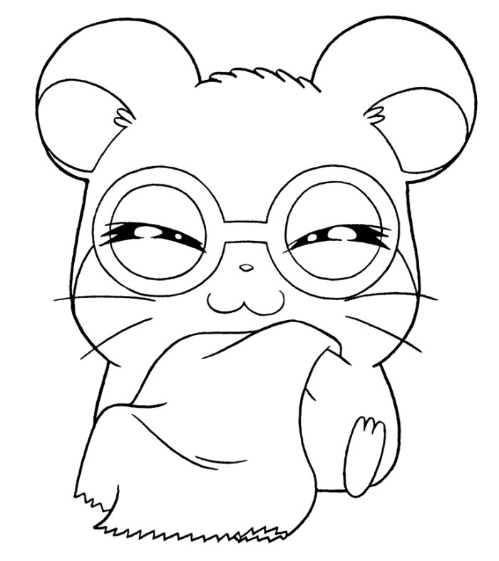 Baby Hamster Coloring Pages
 Funny Hamster Coloring Pages