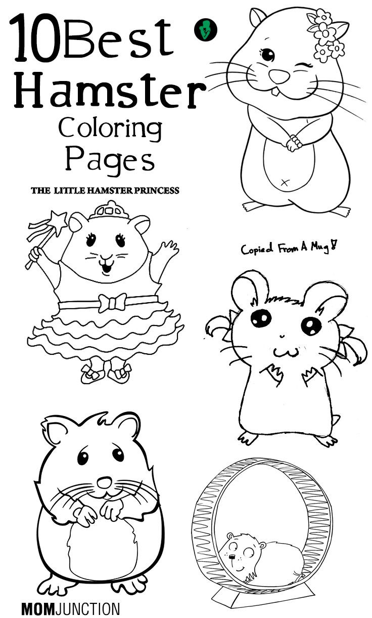 Baby Hamster Coloring Pages
 Top 25 Free printable Hamster Coloring Pages line