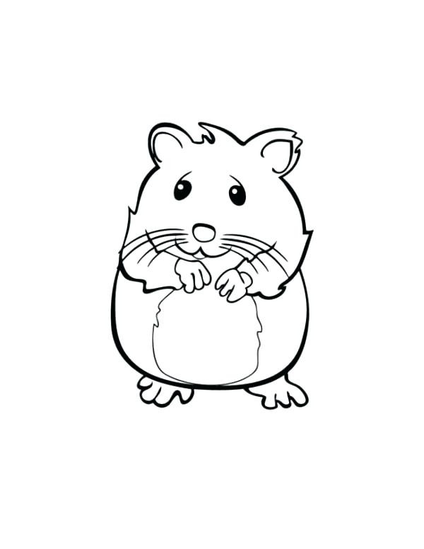 Baby Hamster Coloring Pages
 Cute Guinea Pig Drawing at GetDrawings