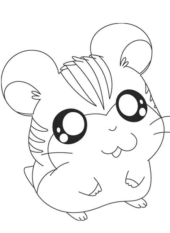 Baby Hamster Coloring Pages
 Cute Hamster Coloring Pages Coloring Home
