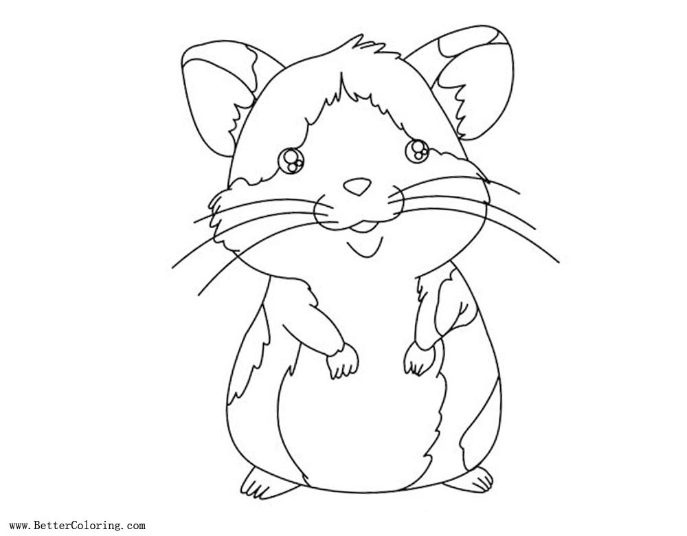 Baby Hamster Coloring Pages
 Baby Hamster Coloring Pages Free Printable Coloring Pages
