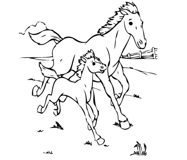 Baby Horse Coloring Page
 Baby Horse Running with His Mother in Horses Coloring Page