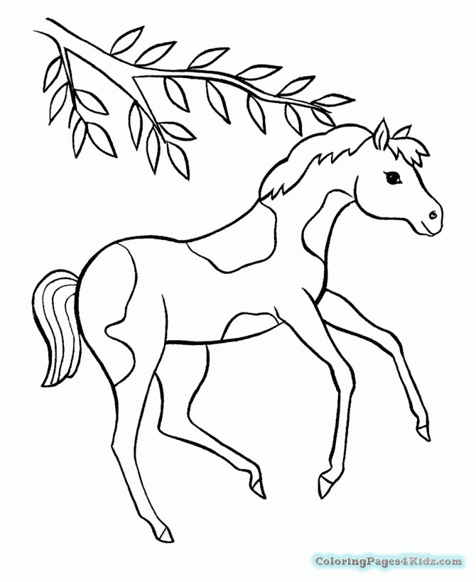 Baby Horse Coloring Page
 Mommy Baby Horse Coloring Pages