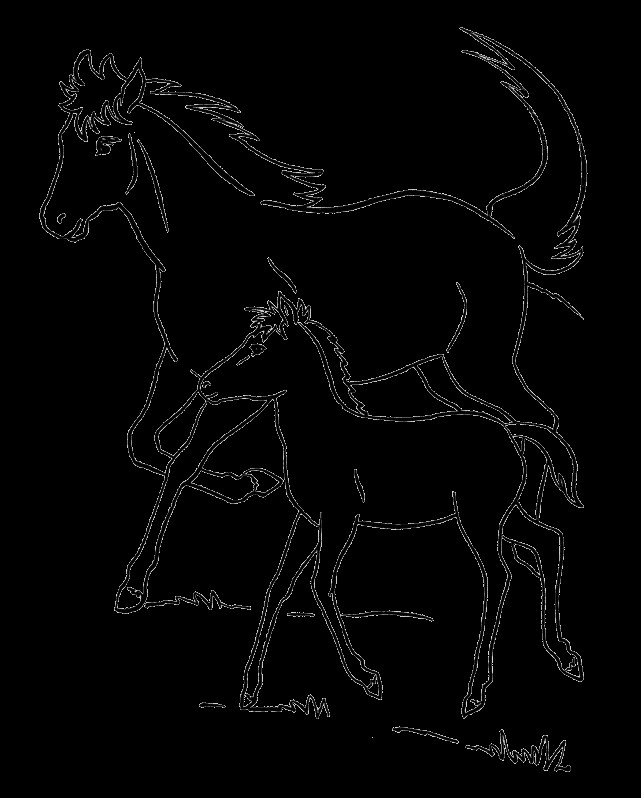 Baby Horse Coloring Page
 Mother And Baby Horse Coloring Pages Coloring Pages