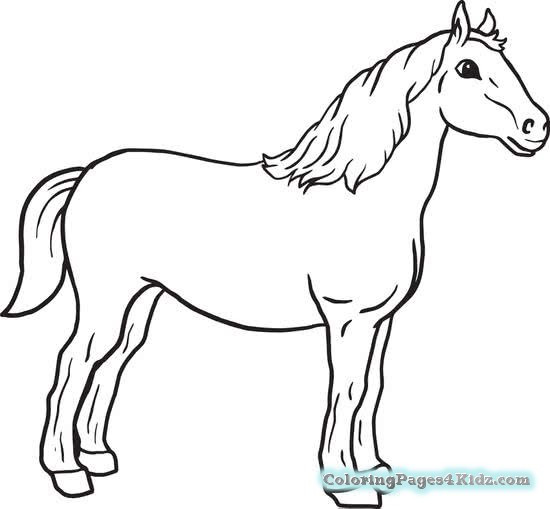 Baby Horse Coloring Page
 Coloring Pages A Horse A Newborn Baby