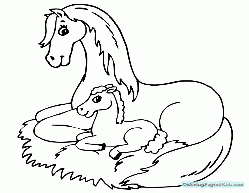 Baby Horse Coloring Page
 Baby Horse Coloring Pages