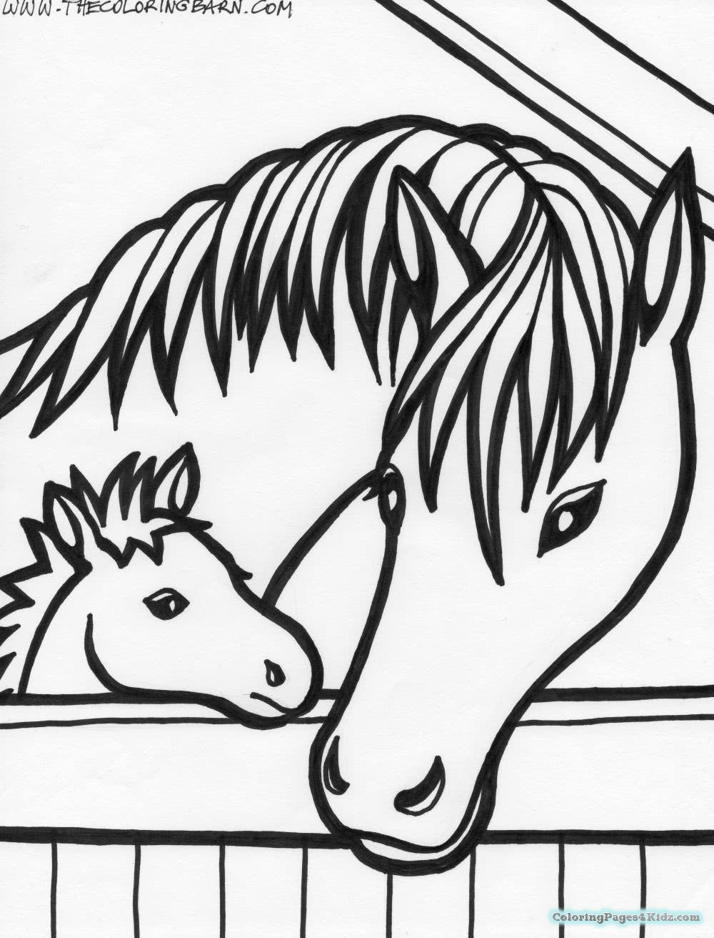 Baby Horse Coloring Page
 Baby Horse Coloring Pages