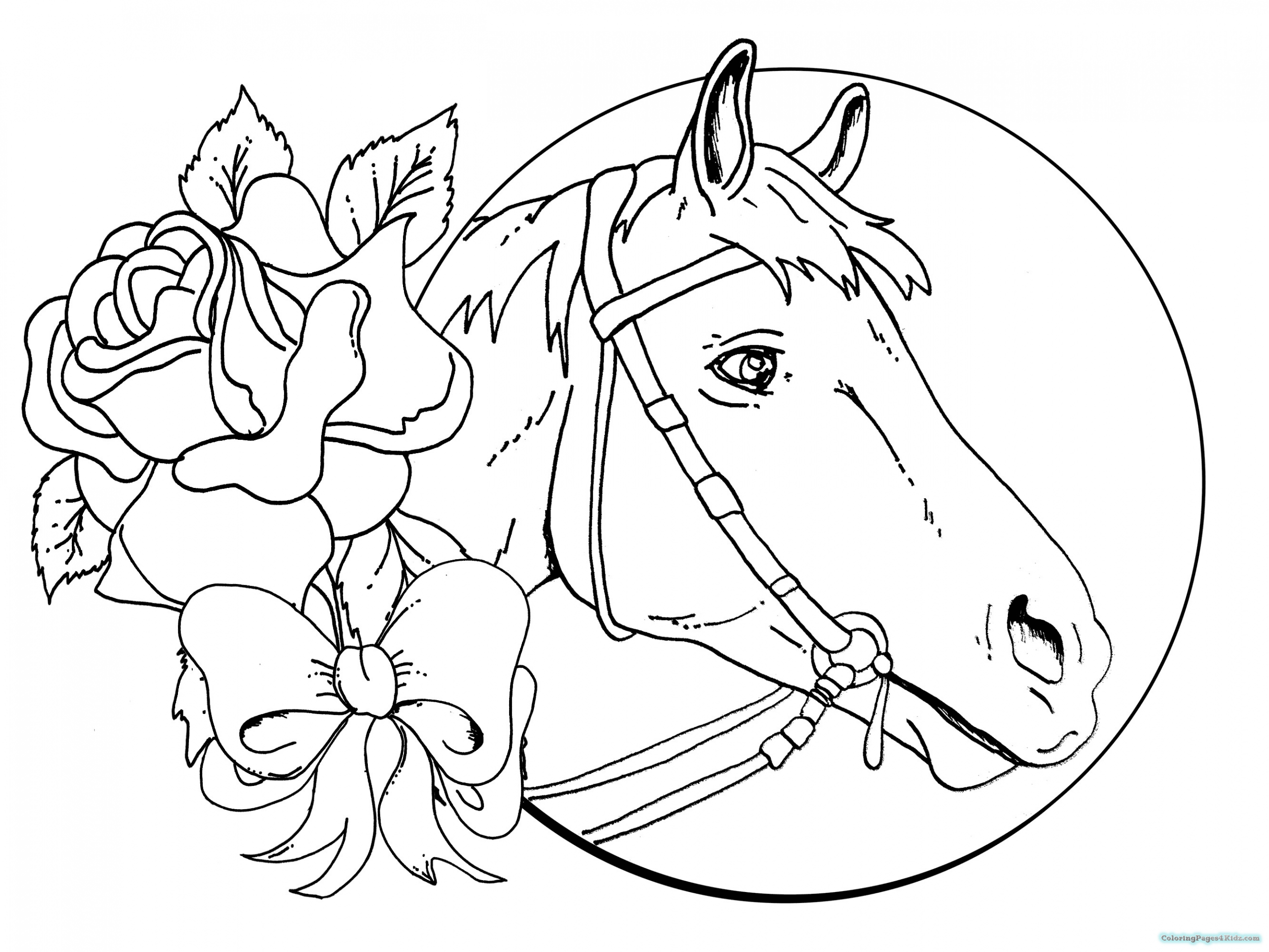 Baby Horse Coloring Page
 Coloring Pages A Horse A Newborn Baby